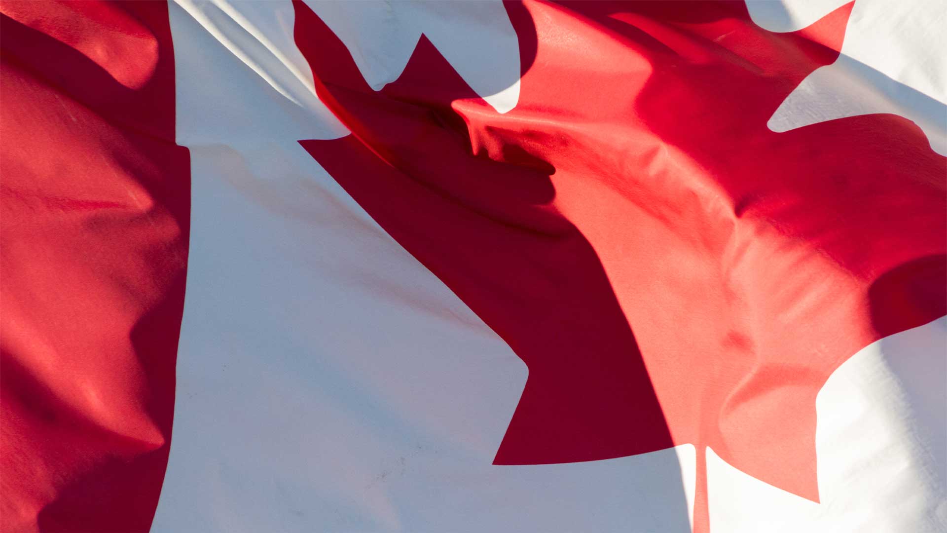 Les conservateurs exigent des réponses sur Lion Électrique